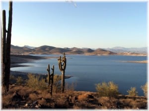 Lake-Pleasant-view-with-cactus-300x224